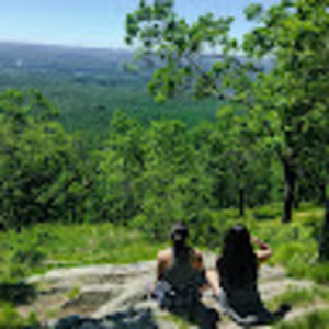 Meet your Posher, Audrey